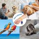 thumbnail image 5 of Clickers para perros con pulseras [Paquete de 4], Clicker de entrenamiento con forma de barco, Colorido y práctico, Clicker profesional para el entrenamiento de perros - Multicolor, 5 of 5