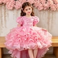thumbnail image 5 of Girl Dress Size 3-4Y Kids Puffy Short Sleeve Embroidered Trailing Cake Party Long Dress Toddler Girls Dresses, 5 of 6