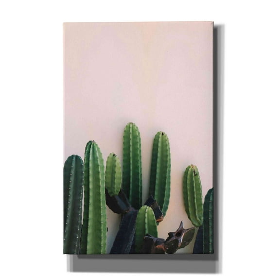 Epic Graffiti 'Cactus on Pink' by Incado, Giclee Canvas Wall Art, 26"x40"