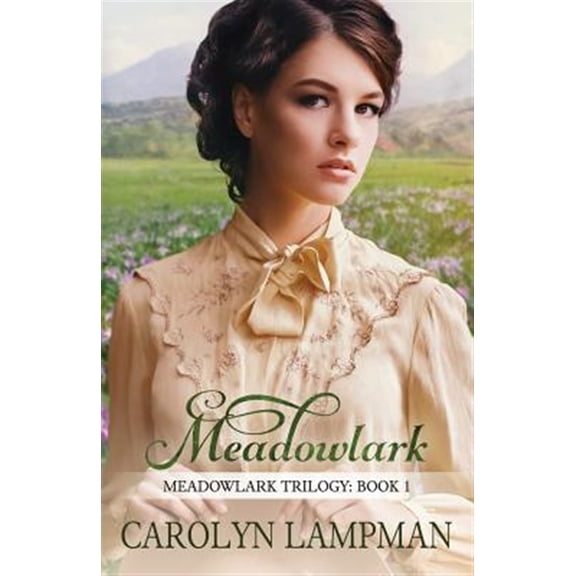 Pre-Owned Meadowlark Trilogy: Meadowlark: Meadowlark Trilogy Book 1 (Paperback)