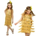 thumbnail image 3 of WOYY Big Girls Flapper Latin Dance Dress Sequins Tassel Tango Dress, Sizes 4-12, 3 of 3