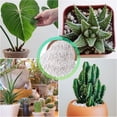 thumbnail image 7 of 8 Quarts Organic Horticultural Perlite for Plants Indoor- Natural Horticultural Soil Additive Conditioner Mix for Improves Drainage, Ventilation and Root Growth, 7 of 7