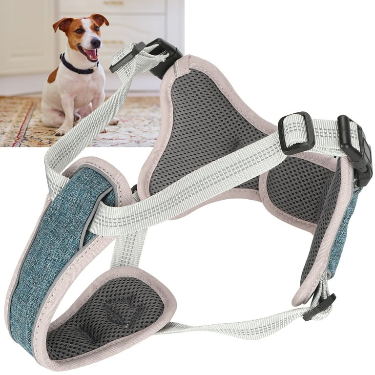 Outdoor dog clearance supplies