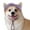 Purple, variant on Koiauber Corgi Sun Hat Pet Cap with Ear Holes Dog Sun Cap with Adjustable Neck Strap for Small And Medium Sized Pets Outdoor Sun Protection
