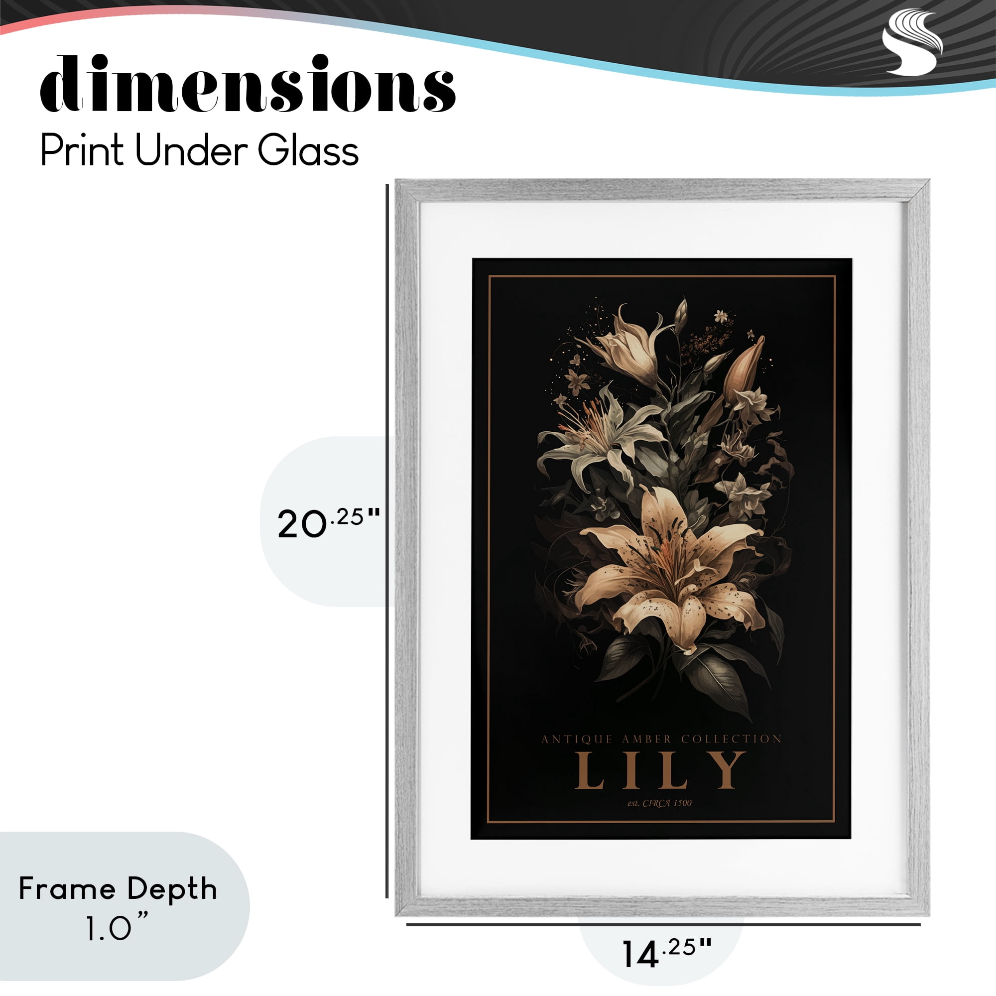 Stupell Industries Antique Lily Light Gray Framed Print Under Glass, design by Chris Giampietro