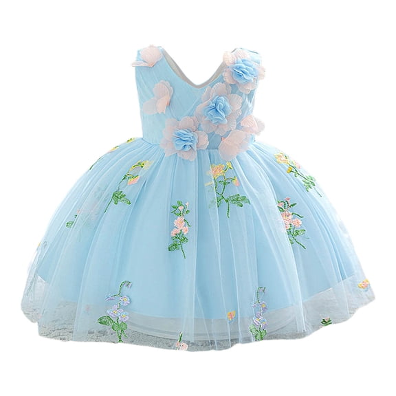 FINALGANG Girls Kids Floral Embroidered Tulle Dress Sleeveless V Neck 3D Flower Decor Flared Skirt Princess Party Dress For Daily Wear Blue 3-6 Months