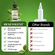 Benevolent Nourishment Liquid Chlorophyll Drops Herbal Supplement, Natural Mint, 2 fl oz