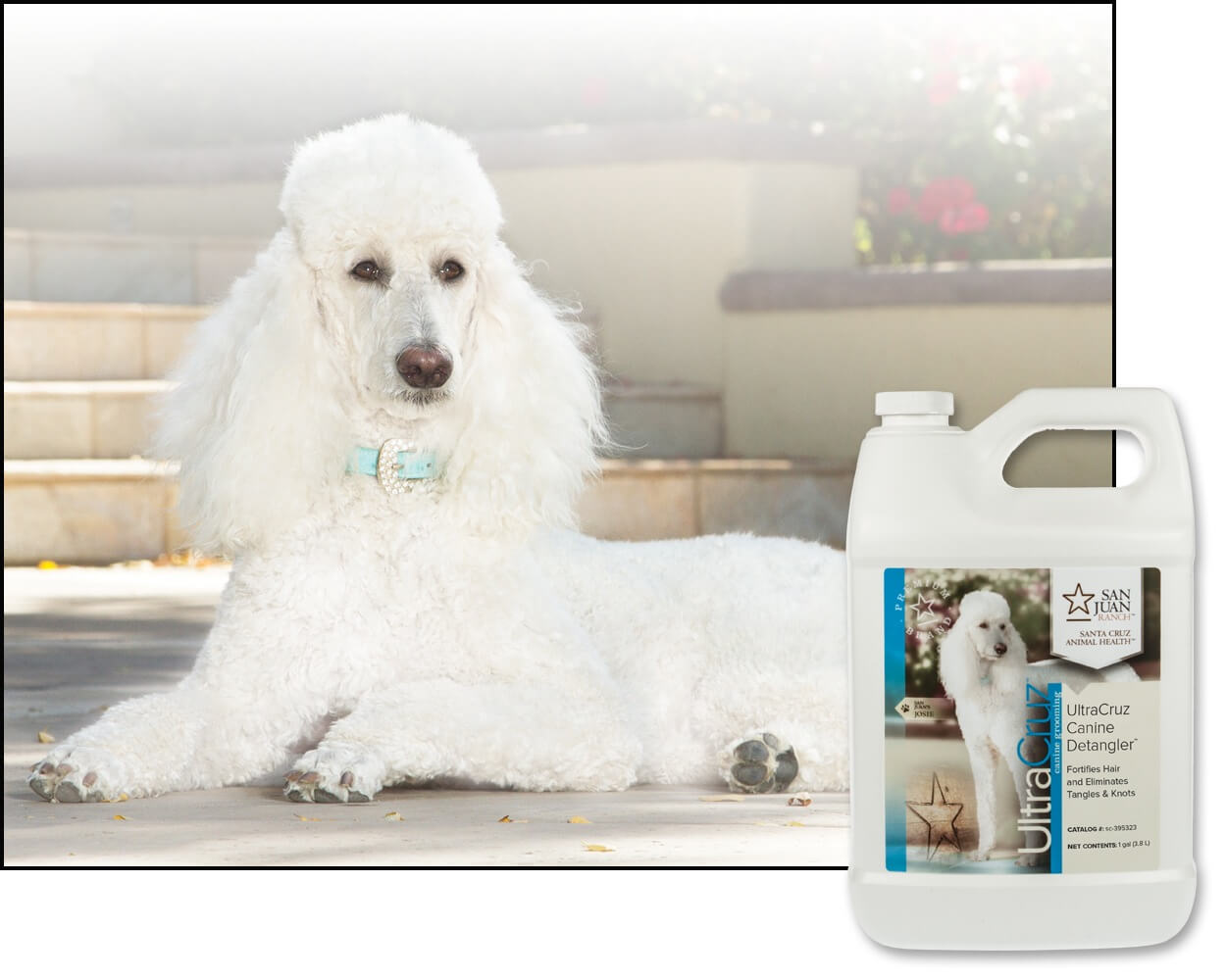 UltraCruz® Canine Detangler, 1 gallon