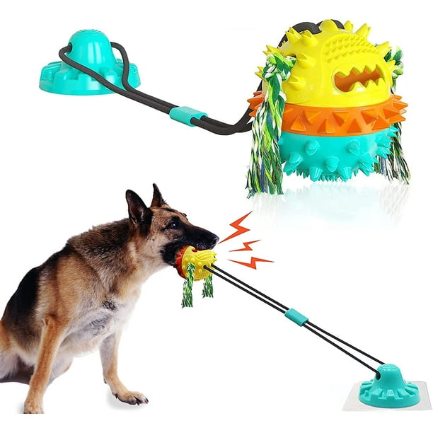 Jouet interactif de boule de jouet de mâcher de chien pour les