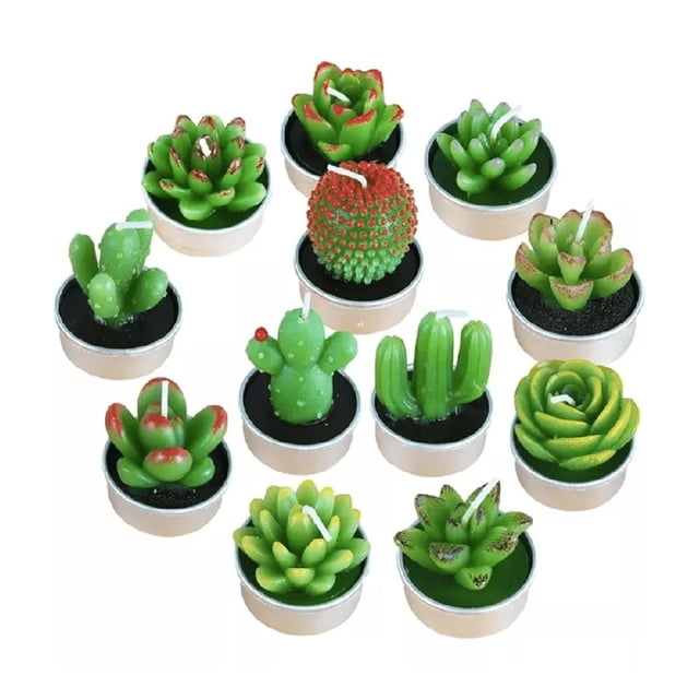 12 Velas Suculenta Cactus Decorativas Artificiales