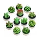 thumbnail image 1 of 12 Velas Suculenta Cactus Decorativas Artificiales, 1 of 3