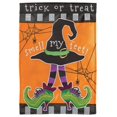 thumbnail image 3 of Magnolia Gardens M011440 13 x 18 in. Witch Hat Double Applique Garden Flag, 3 of 3