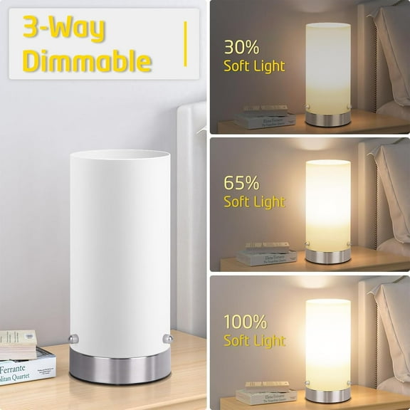 3-Way Dimmable Touch Control Bedside Table  with Glass Shade, 2700K Warm Light for Bedroom
