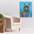 thumbnail image 6 of Epic Graffiti 'Gray Cat' by Rebecca Wang Art, Acrylic Glass Wall Art, 26"x34", 6 of 8