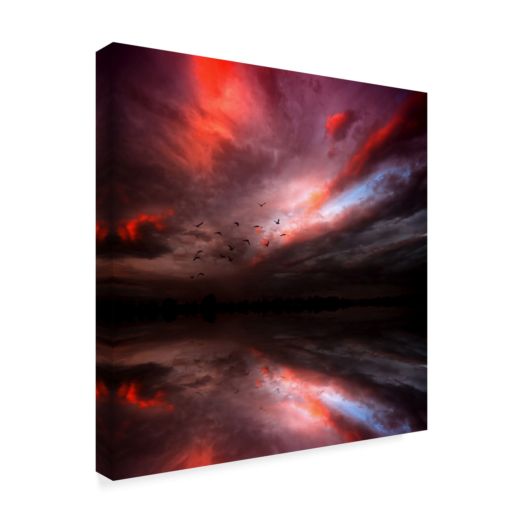 Trademark Fine Art 'Instant Karma' Canvas Art by Philippe Sainte-Laudy