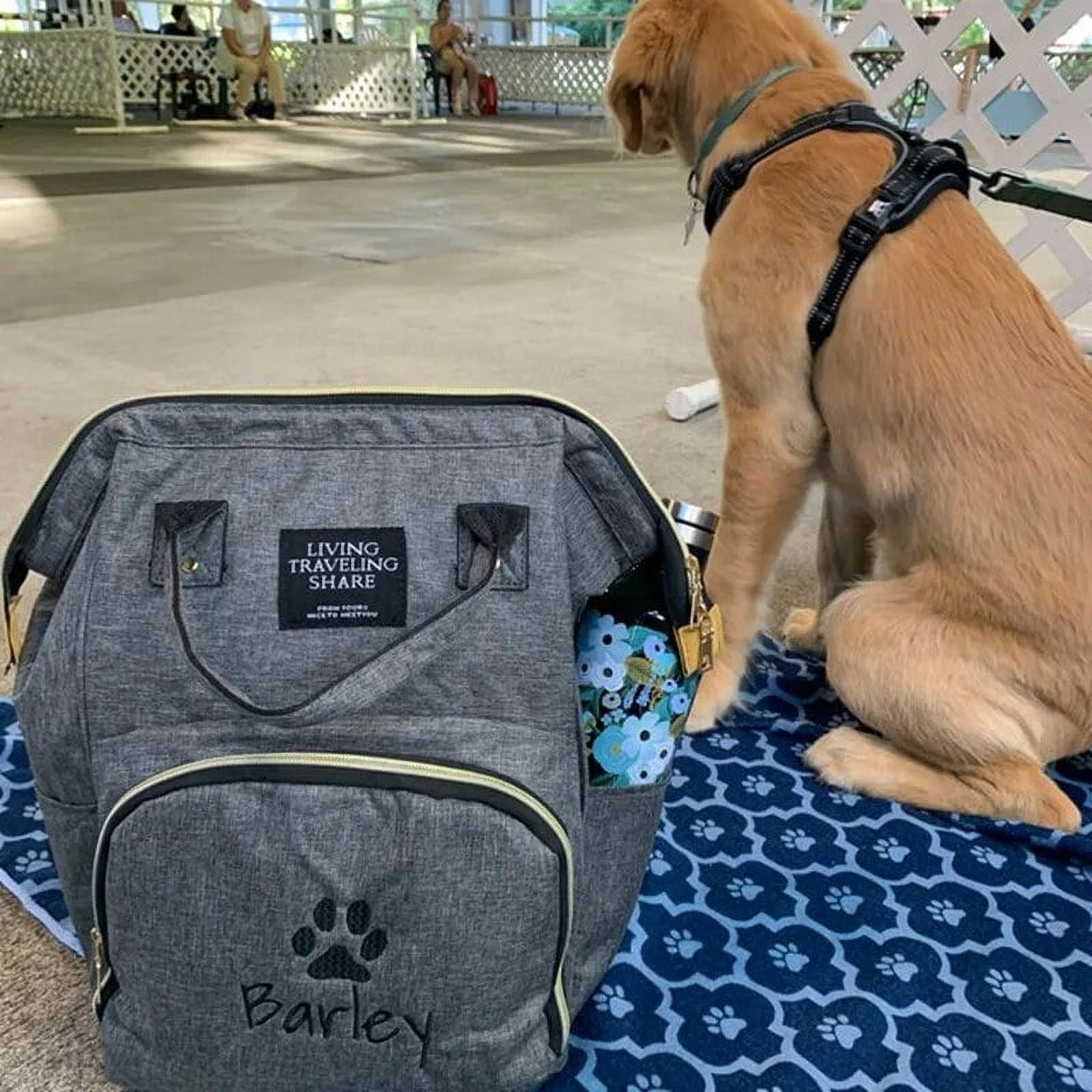 Sac À Dos Chat Chien,Sac Transport Pour Petit Chat Chien Respirant, Sac A Dos De Transport