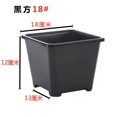 thumbnail image 1 of Fleshy Seedling Pot Small Black Square 5.5 Square Various Styles Black Plastic Seedling Pot Base Planting Thickening Square, 1 of 7
