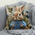 thumbnail image 6 of Gumesh 18x18 Inch Short Plush Pillow Cover - Cute Animal Embroidery Decorative Throw Pillowcase for Sofa, Bed, Living Room, 6 of 6