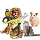 thumbnail image 3 of QPENWEI Coupe Griffes Chat Professionnels, Coupe Ongle pour Chiot Lapin Oiseau et Petits Animaux, Ciseaux à Ongles Courbe en Acier Inoxydable, Tondeuses à Griffes Portable, Accessoire Chat Lapin, 3 of 3