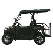 Massimo Buck 250X Side by Side 2WD 177cc EFI 12hp, Gas Golf Cart UTV - Green