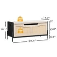 thumbnail image 4 of BeesClover Rattan Storage Bench with Cushion, 39.4 Inch Entryway Bench with Storage for Bedroom, Shoe Storage Bench Chest, End of Bed Bench with Side Handles, 4 of 7