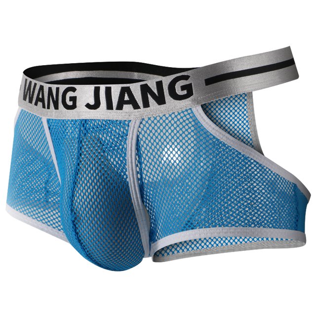 Sexy Men Mesh Hole Underwear Man Boxers Short Underpants Plus Size Transparent Panties Blue XXL