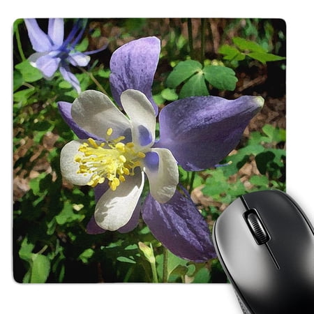 3dRose  Columbine Flower  MousePad price history on PriceWatchPro
