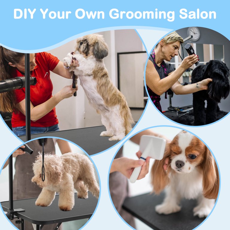 7 DIY Dog Grooming Tables You Can Build Today (With Pictures