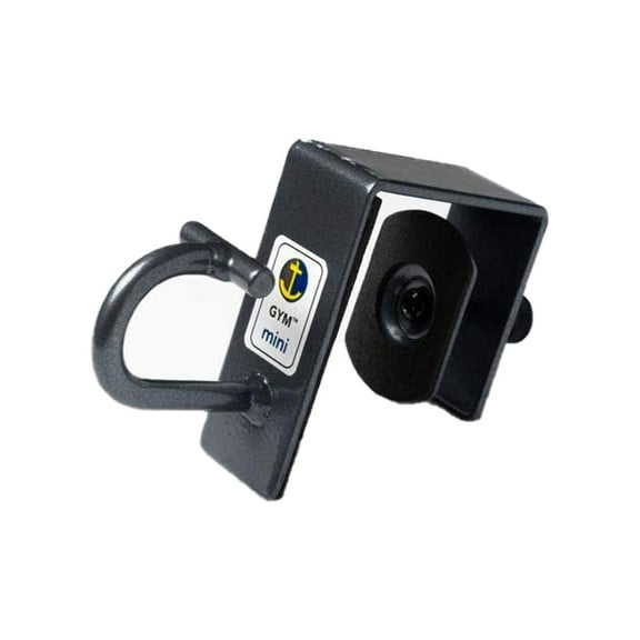 Anchor Gym Mini Steel Door Mount for Resistance Bands and Strength Training