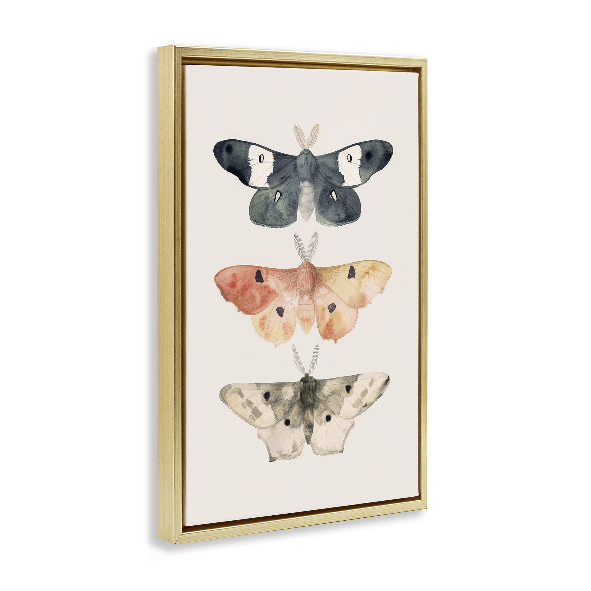 Stupell Industries Watercolor Moth Trio Animals Painting Gold Floater Framed Canvas Art Print Wall Art, 21 x 31