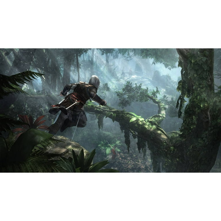  Assassin's Creed IV Black Flag - Nintendo Wii U : UbiSoft:  Video Games