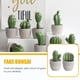 thumbnail image 4 of 2 piezas de cactus artificiales en maceta para decorar el escritorio., 4 of 7
