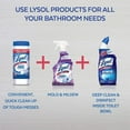 thumbnail image 5 of Lysol Mold & Mildew Remover Spray With Bleach, 32 Oz (Pack Of 3), 5 of 6