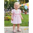 thumbnail image 4 of Cjfdfy Toddler Baby Girl Birthday Dress 1 2 3 4 Years Old Birthday Outfit Baby Girls Summer Plaid Gingham Dress Goose Letter Embroidery Bows Puff Short Sleeve Dress, 4 of 9