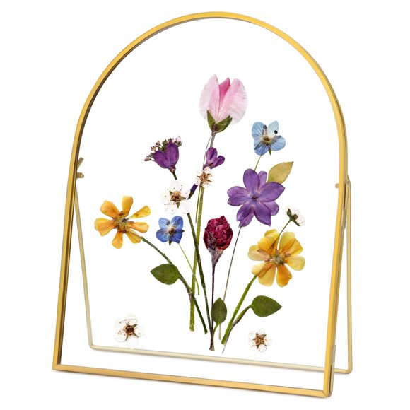 Marco de prensa para flores REDHUGO, doble vidrio, latón, 8 x 10 pulgadas, dorado