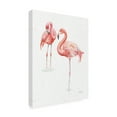 thumbnail image 4 of Trademark Fine Art 'Gracefully Pink X' Canvas Art by Lisa Audit, 4 of 4