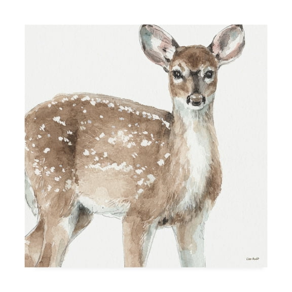 Trademark Fine Art 'Forest Friends VI' Canvas Art by Lisa Audit