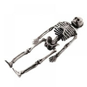 DA BOOM Mini Human Skeleton Model - Anatomical Human Skeleton Model Details of Human Bones with Removable Arms and Legs