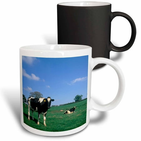 

3dRose Irish farmland with cows near Dublin Ireland - EU15 BBA0027 - Bill Bachmann Magic Transforming Mug 11oz