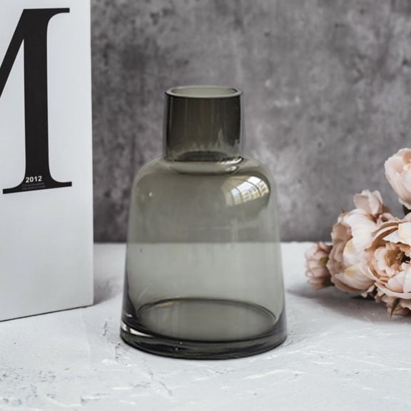Eolstice Clear Glass Hydroponic Vase, Desktop Flower Arrangement Decor, For Office Home Plant Growing Decoration Water Feature