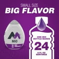 thumbnail image 4 of 2X-Mio Berry Pomegranate Naturally Flavored Liquid Water Enhancer - 1.62 fl oz, 4 of 5