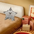 thumbnail image 5 of Uutvmp Christmas Star Pillow,12" Sliver Decorative Throw Pillows for Bed Couch,Star Shaped Pillow Floor Cushions for Home Indoor Room Sofa Decor, 5 of 6