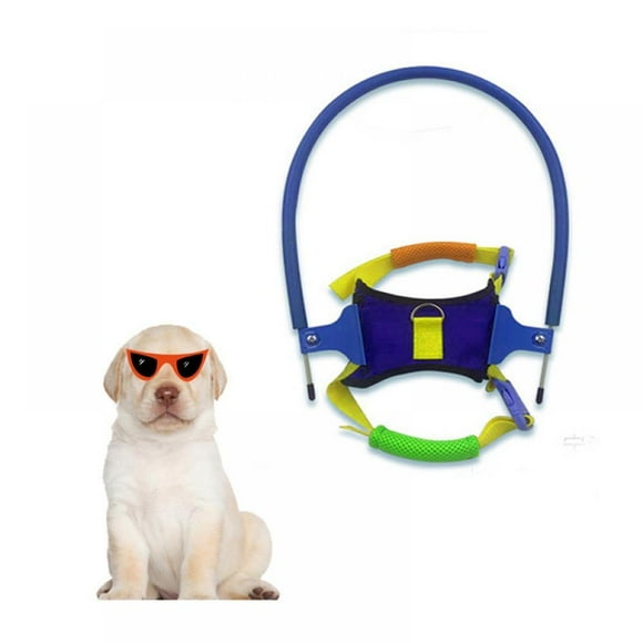 AMERTEER Blind Pet Anti-Collision Ring，Pet Safety Harness Halo for Blind Dogs Protective Guide Training Vest Ring