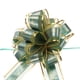 thumbnail image 1 of 10uds 7 Pulgadas Grande Tirar Lazo Regalo Envoltura Lazos Cinta Organza Verde para Boda Cestas Regalos Navidad Fiesta, 1 of 6