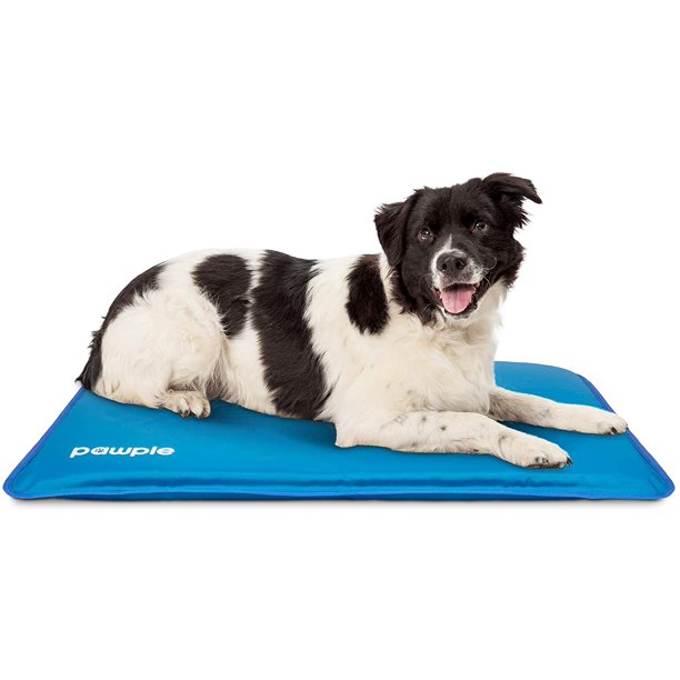 Pawple Dog Cooling Mat, Pet Pad for Travel, Foam Base 32" x 22" Pet Bed