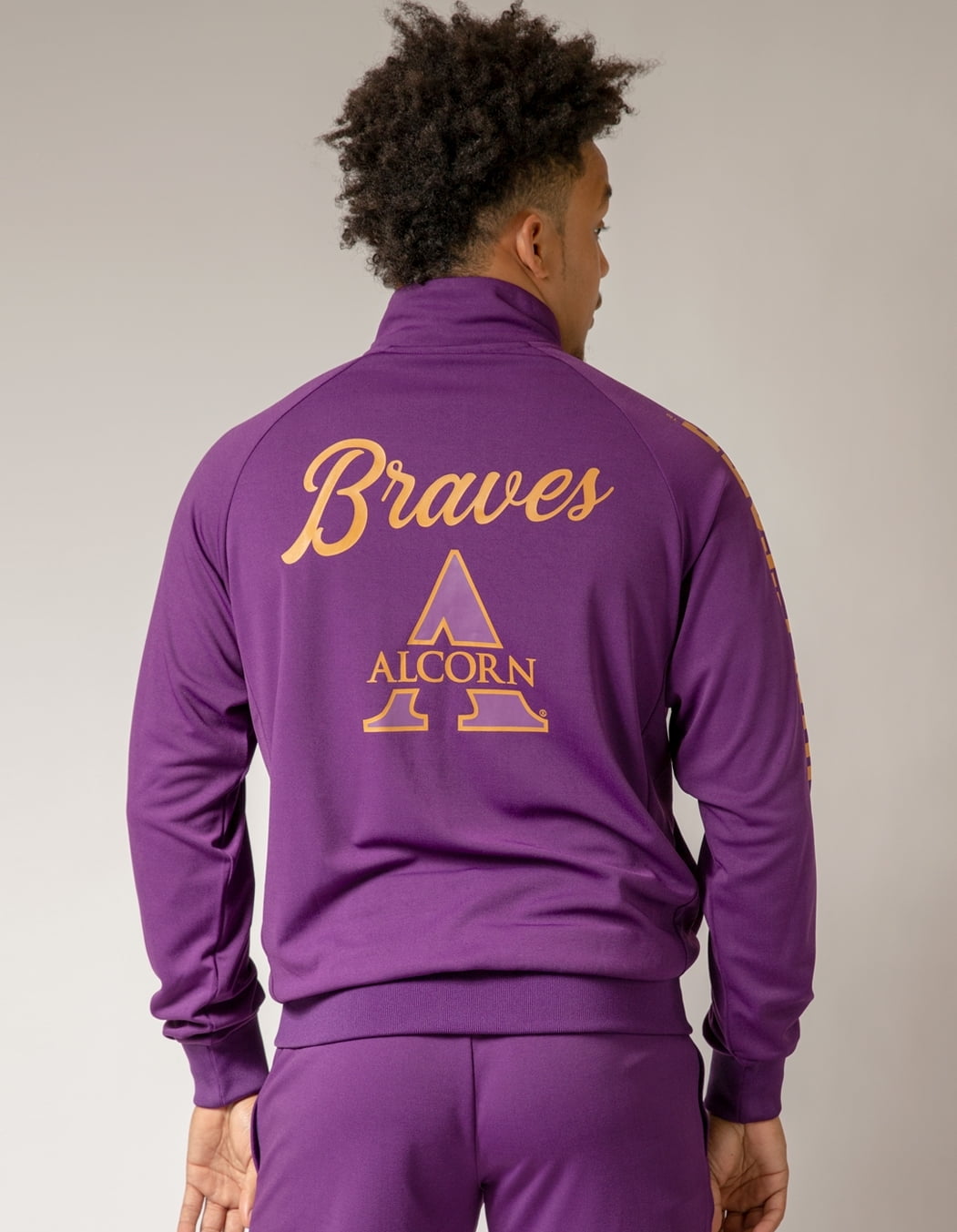 Big Boy Alcorn State Braves S10 Mens Football Jersey [Purple - 3XL]