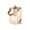 Gold, variant on Cinvoph 1.3 Gallon Drink Dispenser With Spigot Large Fruit Tea Container Cold Brew Pitcher Leakproof for Summer Party Drink Serving White