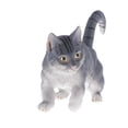 thumbnail image 4 of Esquirla Lifelike Plastic Home Pet Figurine Playset Toy Model For Children Collection - Persian Cat, 4 of 7