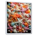 thumbnail image 2 of Designart "Multihued Symphony of Seashells" Coastal Framed Wall Art - Coastal Pink Coastal Tropical Entryway Framed Wall Art Print, 2 of 6