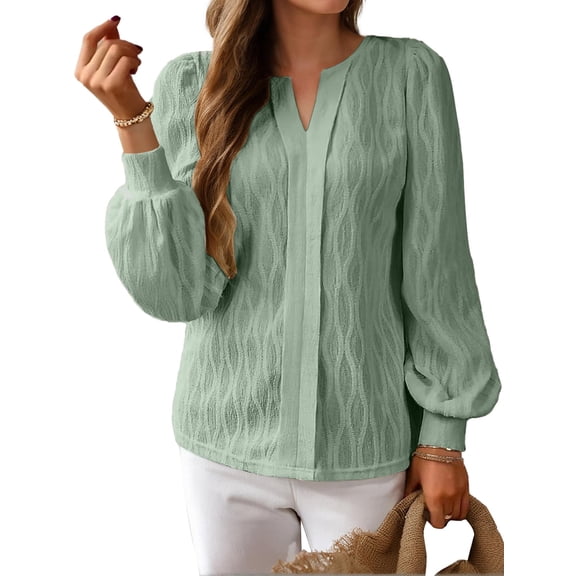 SANOPY Women's Textured V-Neck Lantern Long Sleeve Shirt